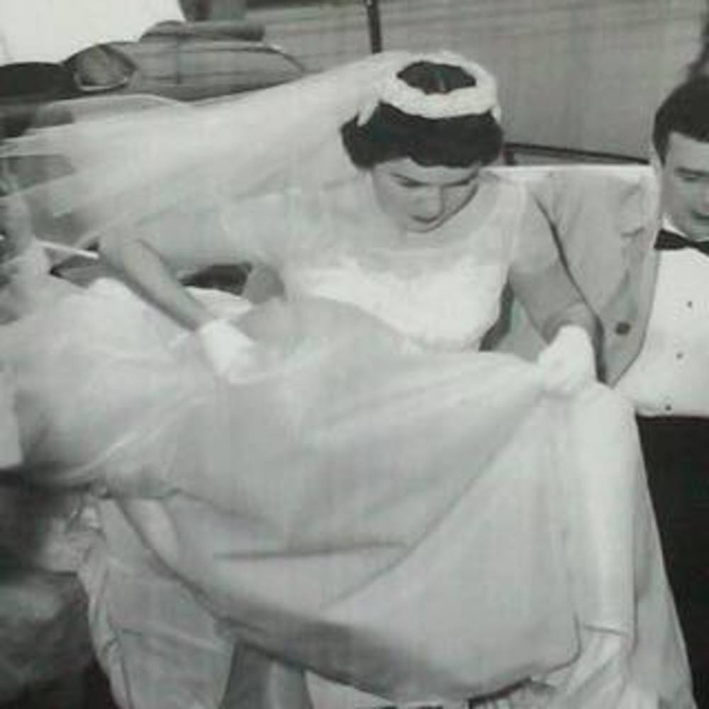 Meet your Posher, Ellen